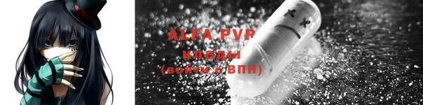 spice Козельск