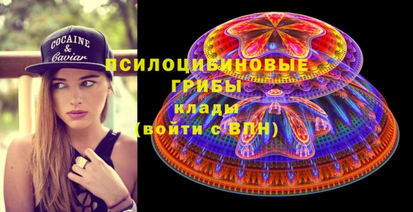 a pvp Костерёво
