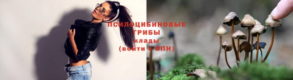 скорость Козловка