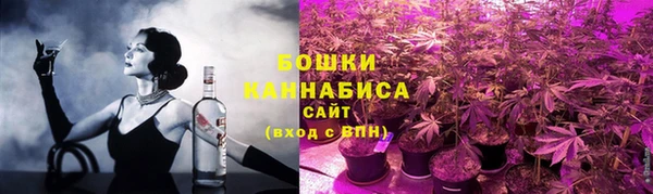 Альфа ПВП Корсаков