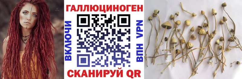 Псилоцибиновые грибы мицелий  Мелеуз 